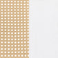 Lanewood Open Cane Webbing Metal Eastern King Bed White