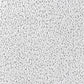 Ackland Upholstered Dining Arm Chair Light Grey (Set of 2)
