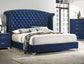 Melody Upholstered Queen Wingback Bed Pacific Blue